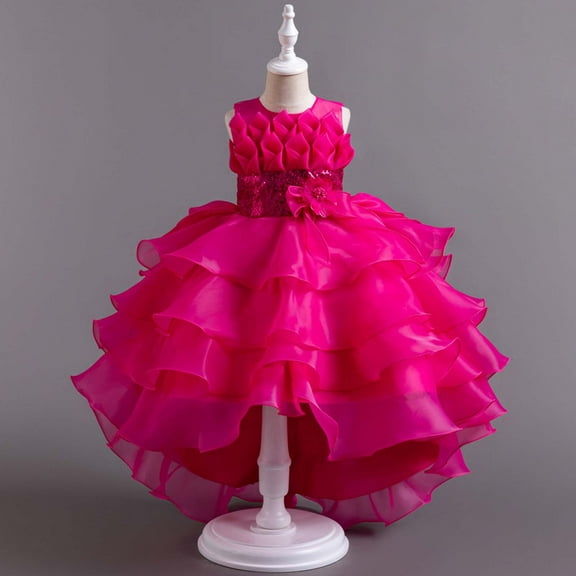 Big Little Girls' Mesh Tull Dress Sleeveless Flower Party Ball Gown Children Train Skirt Cake Princess Dress Girl Bowknot Puffy Gown Dress Hot Pink 3-4 Years
