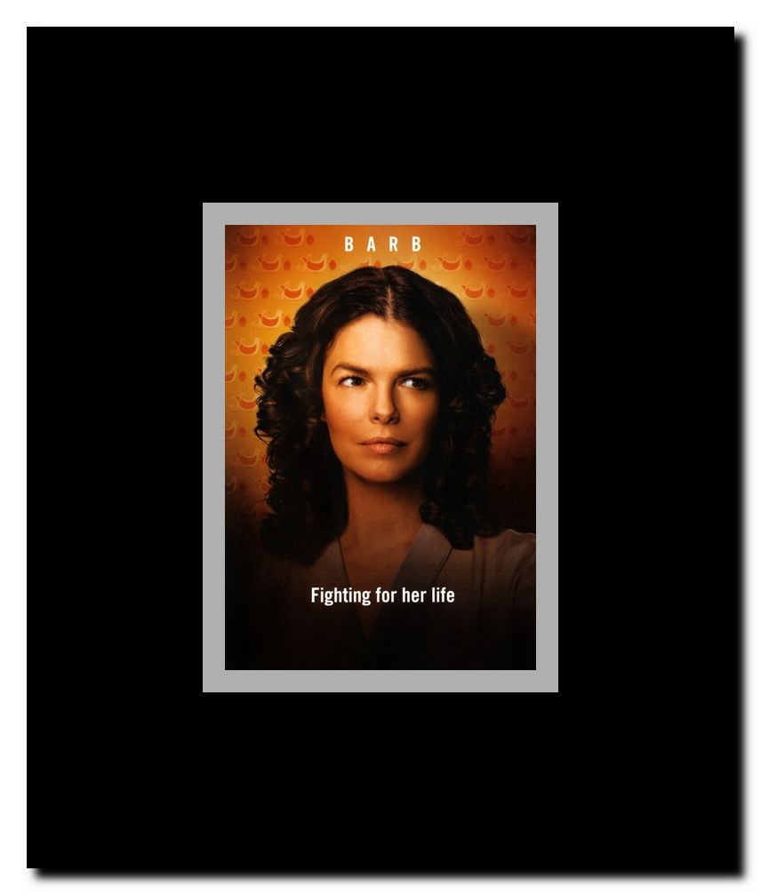 Big Love Framed Movie Poster