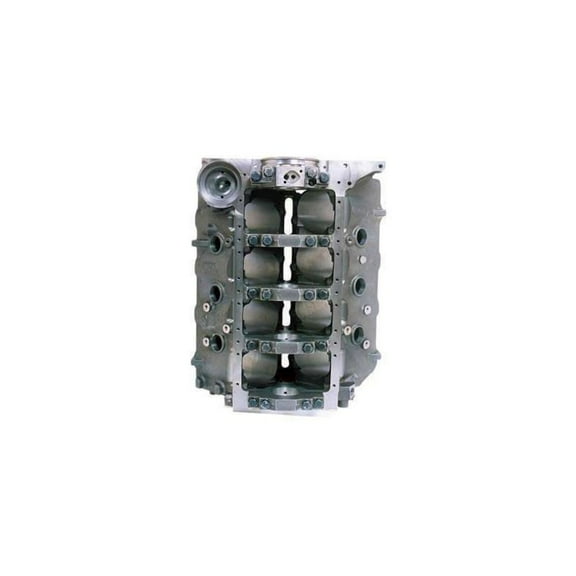 Dart 31213454 Engine Block - Bare
