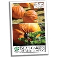 thumbnail image 1 of Big Max Pumpkin Seeds for Planting, 10 Heirloom Seeds Per Packet Non GMO Seeds, 90% Germination Rate, Botanical Name Cucurbita pepo, Great Home Garden Gift, 1 of 5