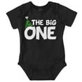 thumbnail image 1 of Big One Happy 1st Birthday Romper Boys or Girls Infant Baby Brisco Brands NB, 1 of 6