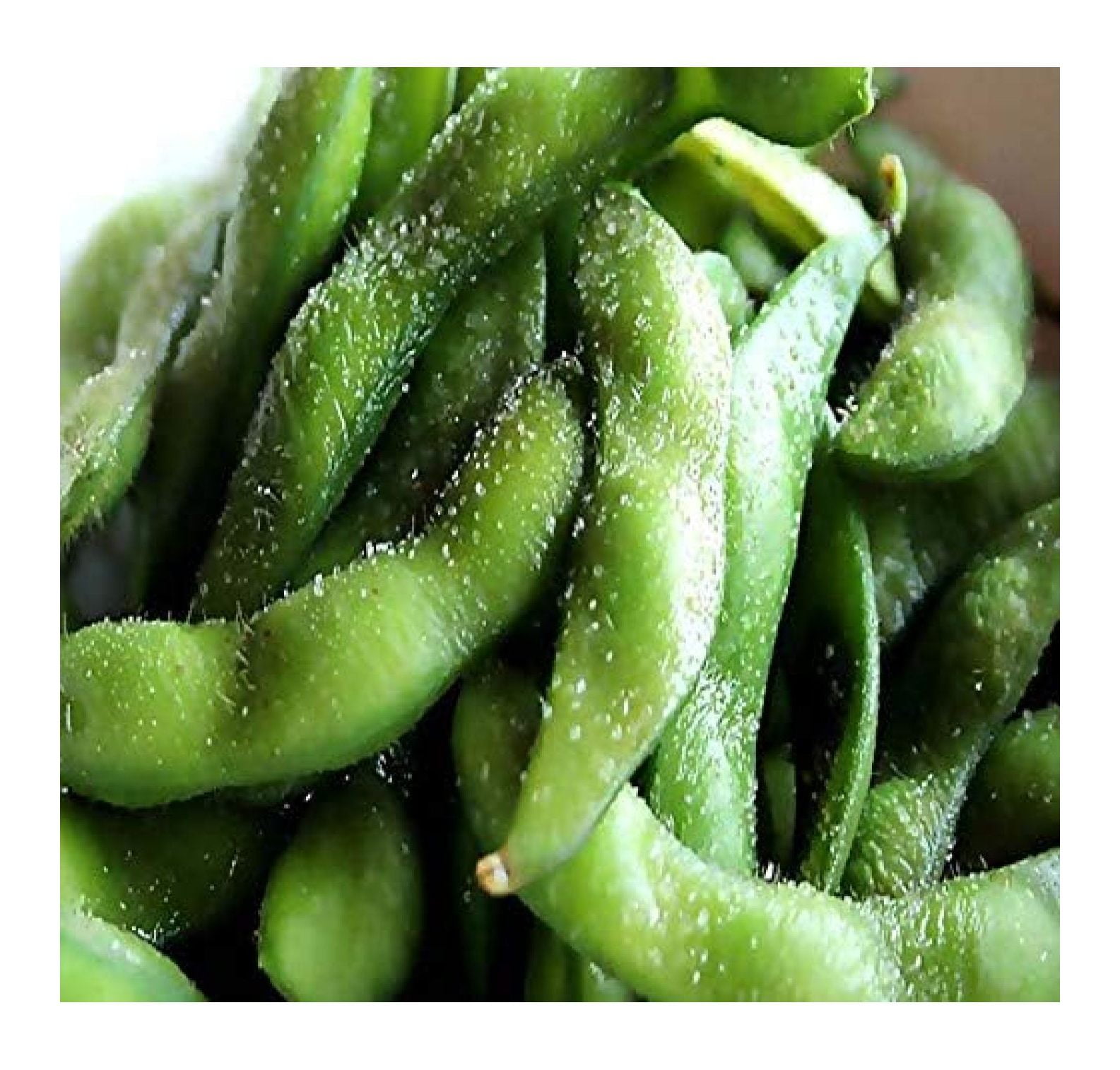 Big Pack (100) Japanese Edamame Seeds High in Protein Young Soy Bean 8090 Days NonGMO
