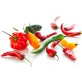 thumbnail image 1 of Big Pack of Hot Pepper Seeds - 4 Types - Jalapeno Pepper, Habenero Pepper, Long Cayenne Red Pepper and Anaheim Chilli - 100 Seeds of Each Type to Grow, 1 of 3