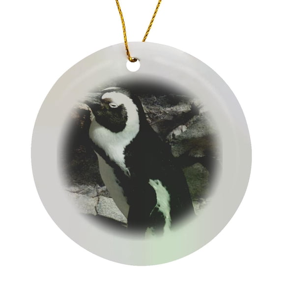 3drose, Big Penguin Napping at the Boston Aquarium, Circle Porcelain Ornament