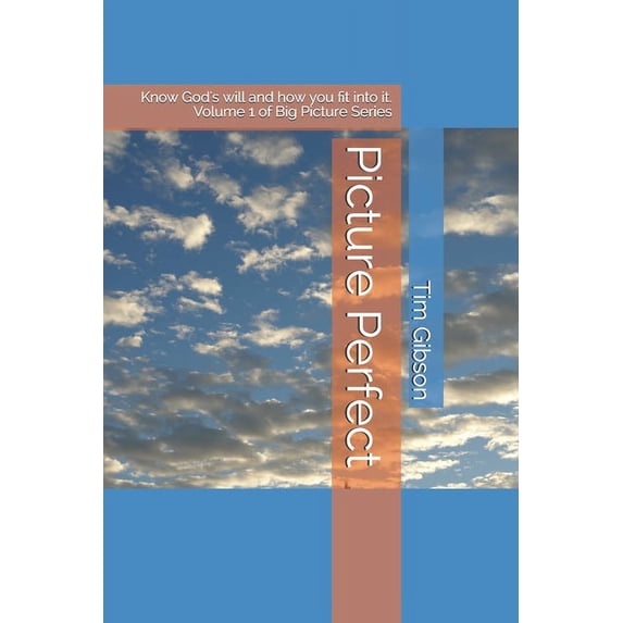 Big Picture Picture Perfect: Know God's will and how you fit into it., Book 1, (Paperback)