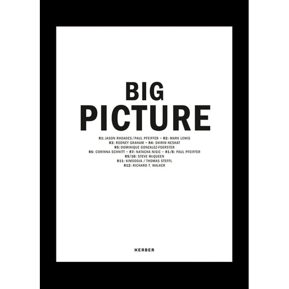 Big Picture : Places, Projections (Hardcover)