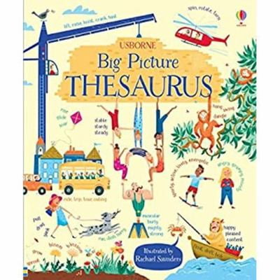 Pre-Owned Big Picture Thesaurus (Hardcover) 0794539831 9780794539832