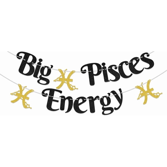 Big Pisces Energy Banner - Pisces Birthday Decorations - February Birthday Decorations Black