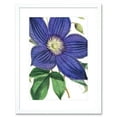 thumbnail image 1 of Big Purple Clematis Flower Artwork Framed Wall Art Print 9X7 Inch, 1 of 5