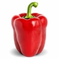 thumbnail image 1 of Big Red Sweet Bell Pepper Seeds/Annual/Full Sun/500 Seeds 1/8 oz/Zellajake Farm and Garden - B352, 1 of 1