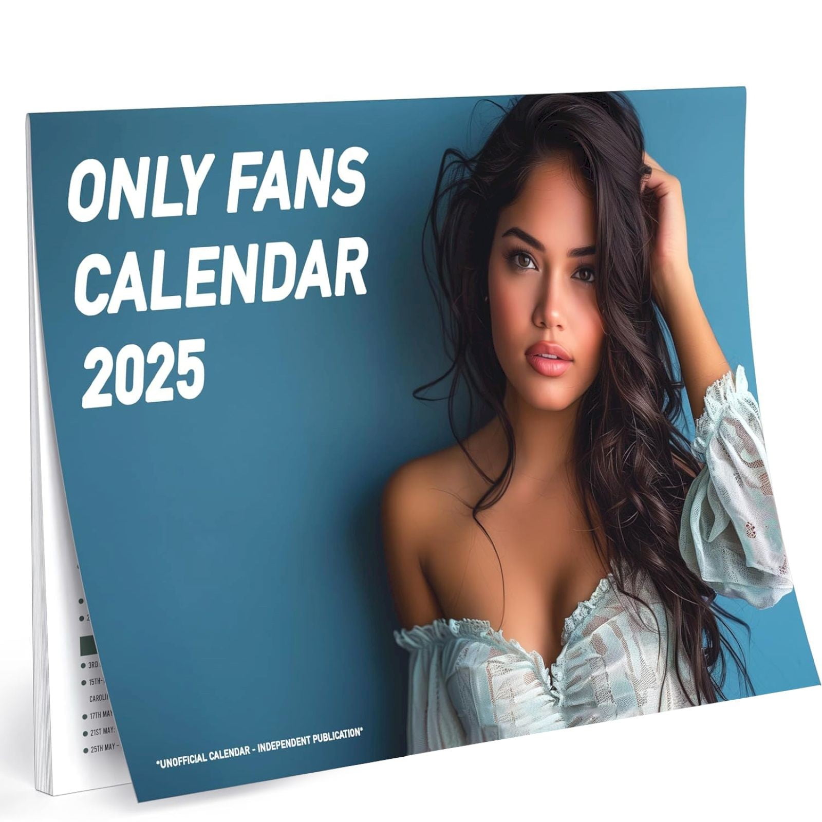 💥 Big Sale! Alofun Desk Calendar 20242025 Calendar 2025 Joke Fans