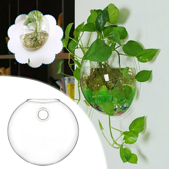 Big Savings! Gosuguu Wall-Mounted Glass Vase, Flat Cake Hydroponic Plant Vase, Decorative Wall Planter, Home Wall Decor for Plants and Flowers Sales Today Clearance!