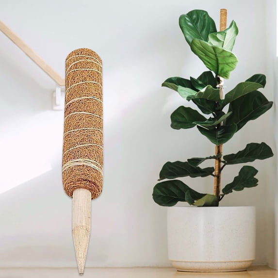 Plants Support Moss Pole, Climbing Plants Stick, Extension Moss Stick for Indoor Plants, Perfect Support for Growing Vines, and Gardening DIY Projects