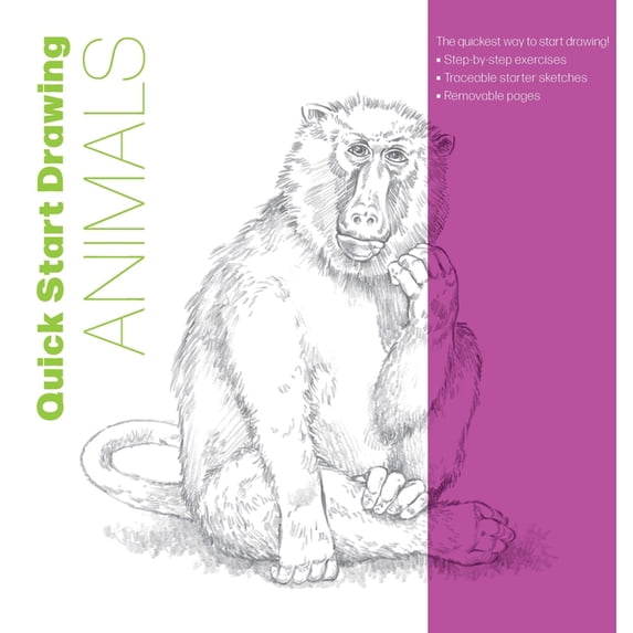 Big School of Drawing Quick Start Drawing Animals: The Quickest Way to ...
