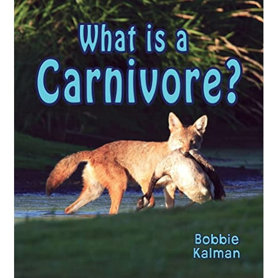 Pre-Owned What Is a Carnivore? (Paperback) 0778732940 9780778732945