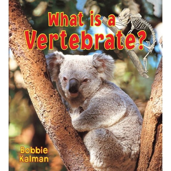 Big Science Ideas What Is a Vertebrate?, (Paperback)