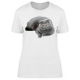 thumbnail image 1 of Big Scottish Fold Cat  T-Shirt Women -Image by Shutterstock Women T-Shirt, Female 3X-Large, 1 of 2