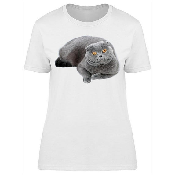 Big Scottish Fold Cat T-Shirt Women -Image by Shutterstock Women T-Shirt, Female 3X-Large