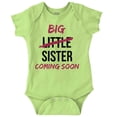 thumbnail image 1 of Big Sis Little Sister Coming Soon Bodysuit Jumper Girls Infant Baby Brisco Brands 12M, 1 of 6