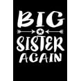 thumbnail image 1 of Big Sister Again: Family Collection (Paperback), 1 of 1