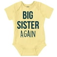 thumbnail image 1 of Big Sister Again Older Sibling Cute Bodysuit Jumper Girls Infant Baby Brisco Brands 12M, 1 of 6