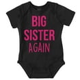 thumbnail image 1 of Big Sister Again Older Sibling Cute Bodysuit Jumper Girls Infant Baby Brisco Brands 6M, 1 of 6