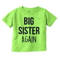thumbnail image 1 of Big Sister Again Older Sibling Cute Youth T Shirt Tee Girls Infant Toddler Brisco Brands 4T, 1 of 5