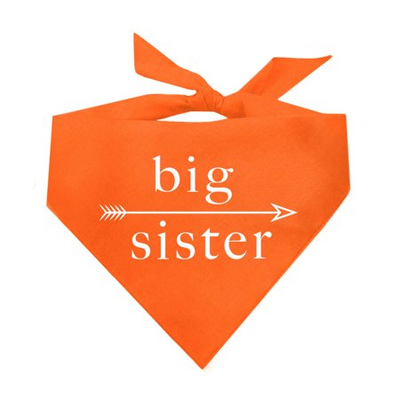 Big Sister Arrow Triangle Dog Bandana