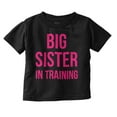 thumbnail image 1 of Big Sister In Training Expecting Youth T Shirt Tee Girls Infant Toddler Brisco Brands 12M, 1 of 5