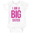 thumbnail image 1 of Big Sister Older Sibling Family Bodysuit Jumper Girls Infant Baby Brisco Brands 24M, 1 of 7