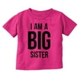 thumbnail image 1 of Big Sister Older Sibling Family Youth T Shirt Tee Girls Infant Toddler Brisco Brands 12M, 1 of 5