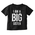 thumbnail image 1 of Big Sister Older Sibling Family Youth T Shirt Tee Girls Infant Toddler Brisco Brands 2T, 1 of 5