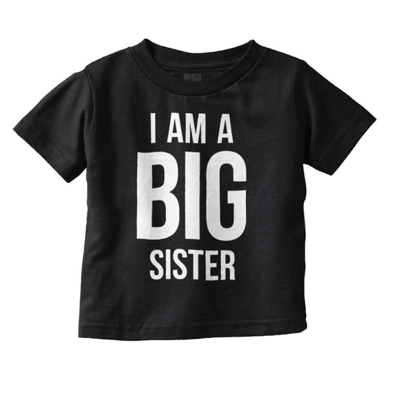 Big Sister Older Sibling Family Youth T Shirt Tee Girls Infant Toddler Brisco Brands 2T