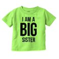 thumbnail image 1 of Big Sister Older Sibling Family Youth T Shirt Tee Girls Infant Toddler Brisco Brands 3T, 1 of 5