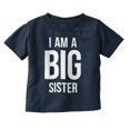thumbnail image 1 of Big Sister Older Sibling Family Youth T Shirt Tee Girls Infant Toddler Brisco Brands 5T, 1 of 5