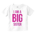 thumbnail image 1 of Big Sister Older Sibling Family Youth T Shirt Tee Girls Infant Toddler Brisco Brands 6M, 1 of 5