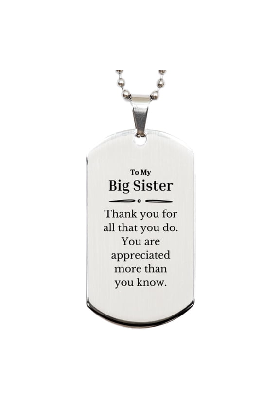To My Big Sister Thank You Gifts, You are appreciated more than you know, Appreciation Silver Dog Tag for Big Sister, Birthday Unique Gifts for Big Sister