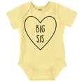 thumbnail image 1 of Big Sisters Sis Older Adorable Child Bodysuit Jumper Girls Infant Baby Brisco Brands 12M, 1 of 6