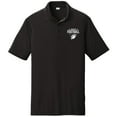 thumbnail image 1 of Big Size American Football Graphic Design Men's Big Size PosiCharge Competitor Polo Tee Shirt - Black XL, 1 of 2