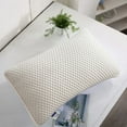 thumbnail image 1 of Big Size Down Pillow for Bed, Soft Pillow for Sleeping, Hotel Quality Firm down Filling Pillow with Skin-Friendly Cotton Fabric for Back, Stomach or Side Sleepers, 1 of 9