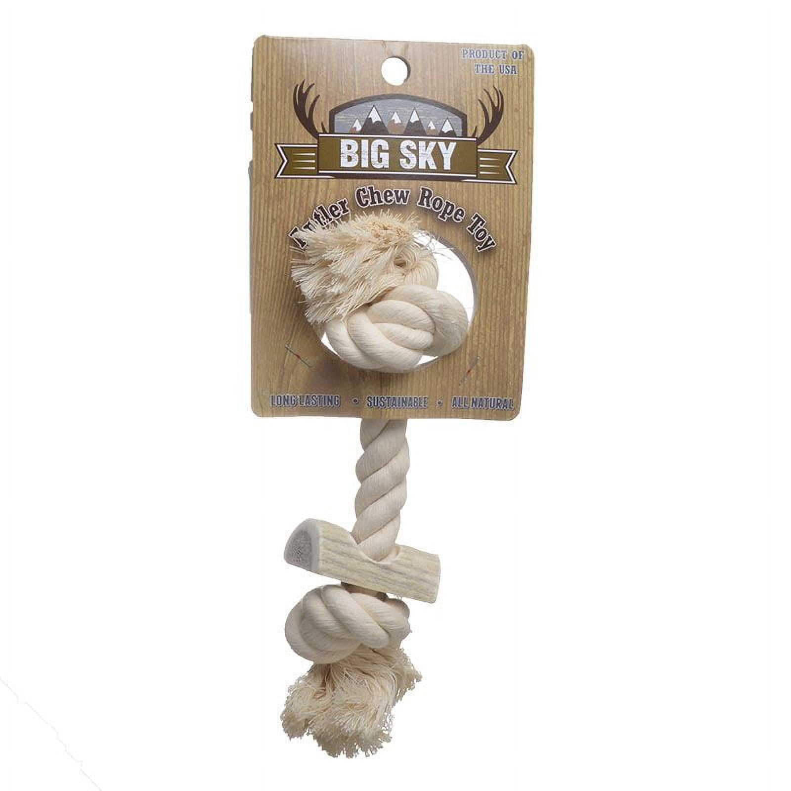 Big Sky Antler Chew with Rope Small 8 Long
