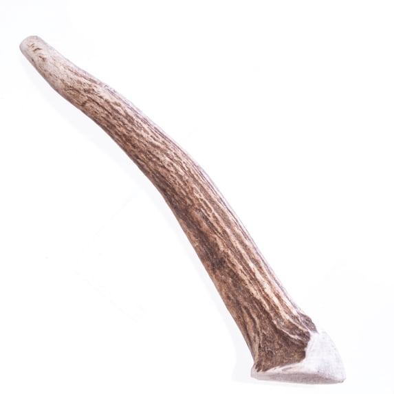 Big Sky Antler Chew for Dogs - Medium - 1 Antler - Dogs Over 40 lbs - (6"-7" Chew)