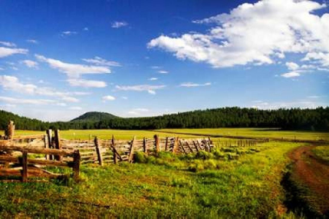 Big Sky Ranch I Canvas Art - Alan Hausenflock (20 x 28)