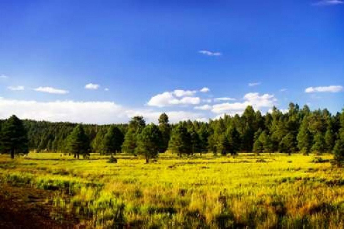 Big Sky Ranch II Canvas Art - Alan Hausenflock (20 x 28)