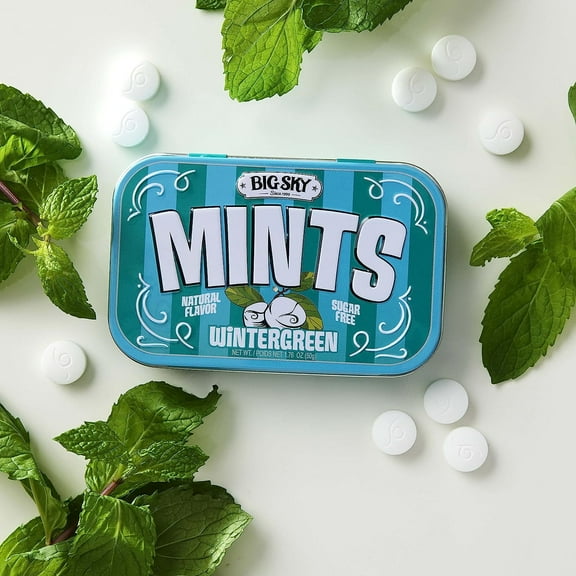 Big Sky Sugar Free Wintergreen Mint Candy, 50g Tin