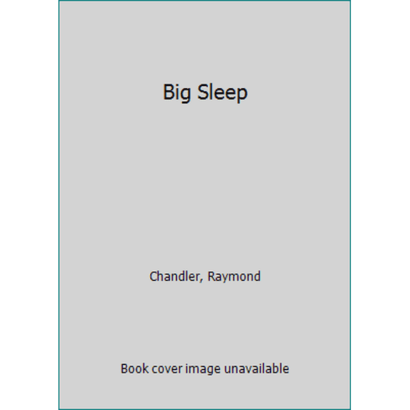 Pre-Owned Big Sleep (Paperback) 0330258362 9780330258364