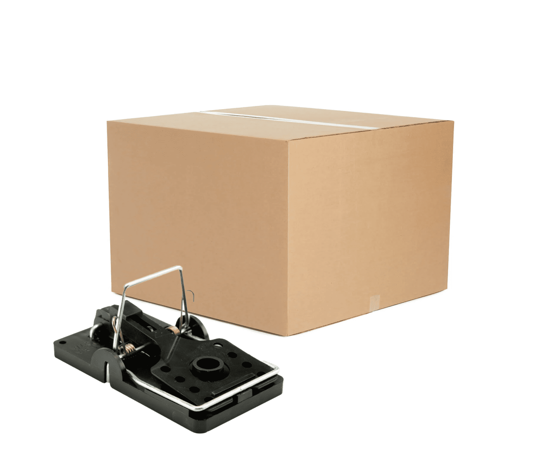 Big Snap-E Rat Trap - Rapid Response Snap Bar Travels 1/2 Big Snap-E Rat Trap - Rapid Response Snap Bar Travels 1/2