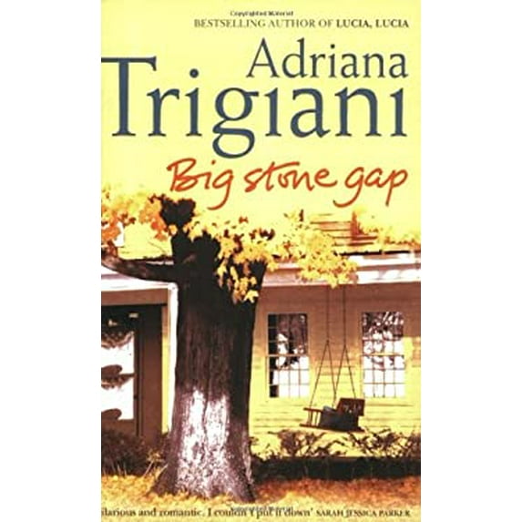 Pre-Owned Big Stone Gap Adriana Trigiani (Paperback)