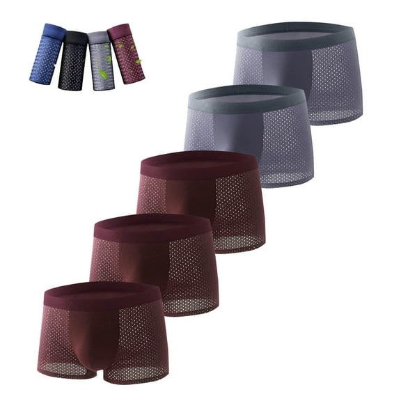 Big & Tall Boxer Briefs for Men 5 Pack L-4X Plus Size Silk Underwear Mens Casual Breathable Hollow-Out Multipack Mid Waisted Boxers