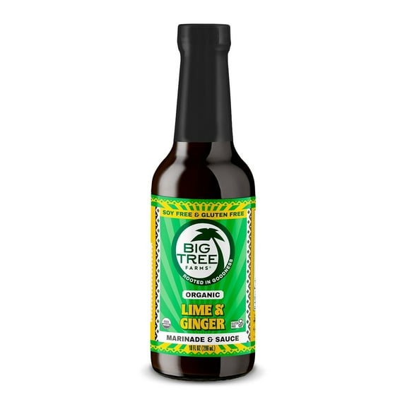 Big Tree Farms, Organic Coco Aminos, Seasoning Sauce & Marinade, Gingery Lime, 10 fl oz Pack of 2